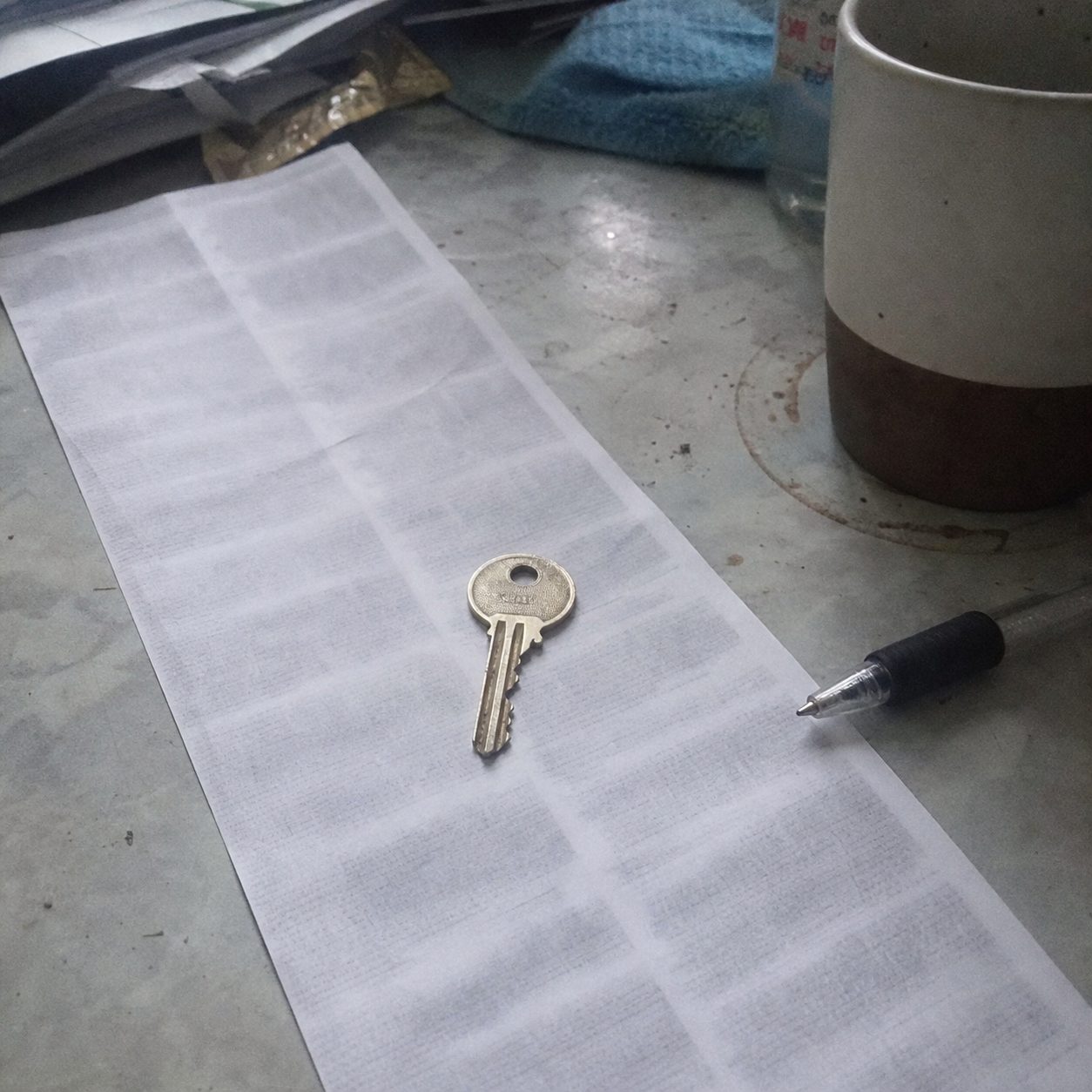 Photographic appendix to fragment TL-0203.