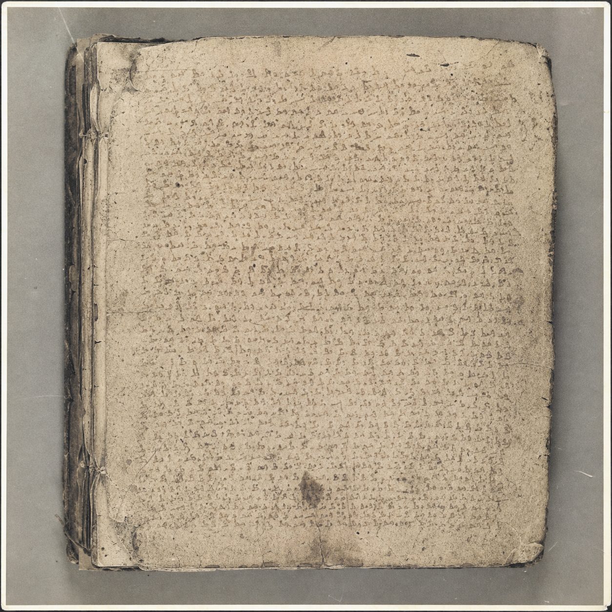 Photographic appendix to fragment TL-0302.
