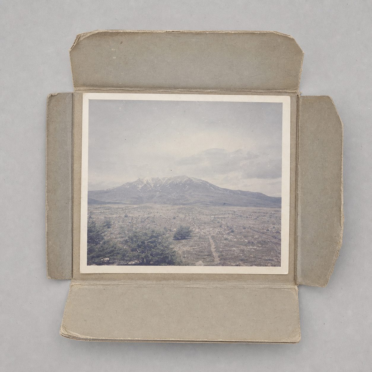 Photographic appendix to fragment TL-2960.