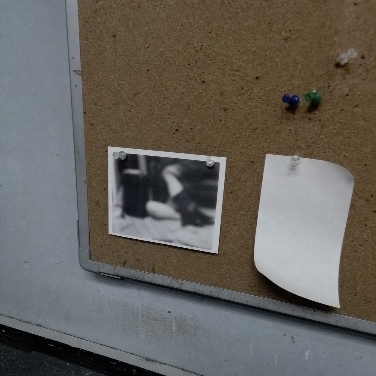 Photographic appendix to fragment TL-3117.