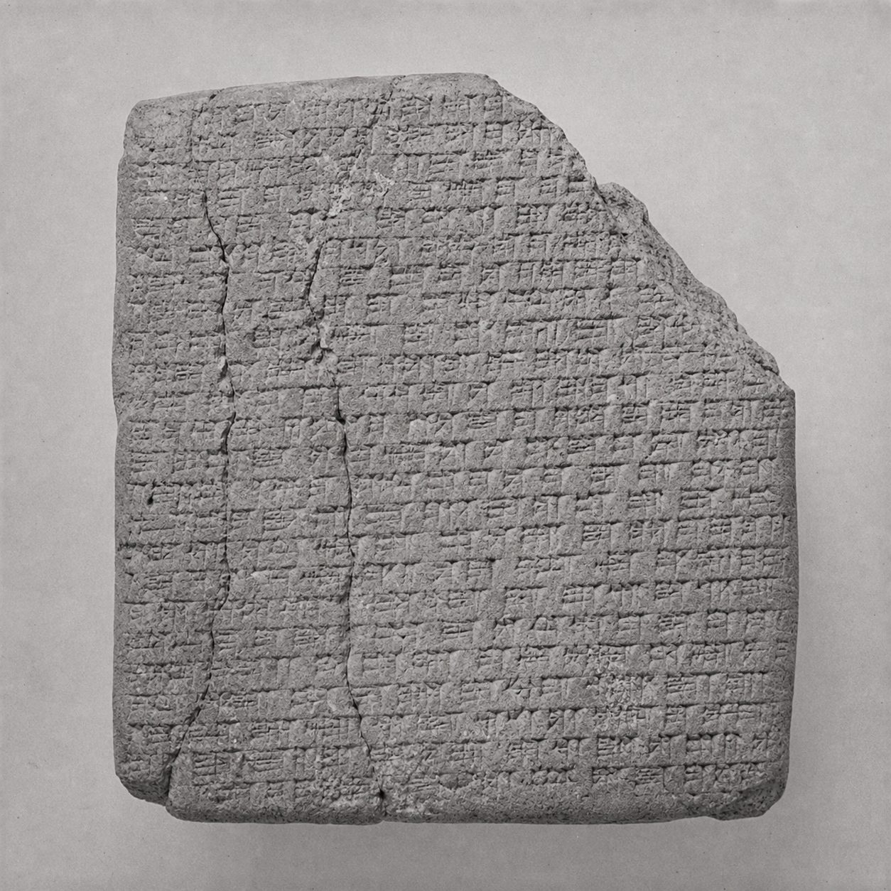 Photographic appendix to fragment TL-3505.