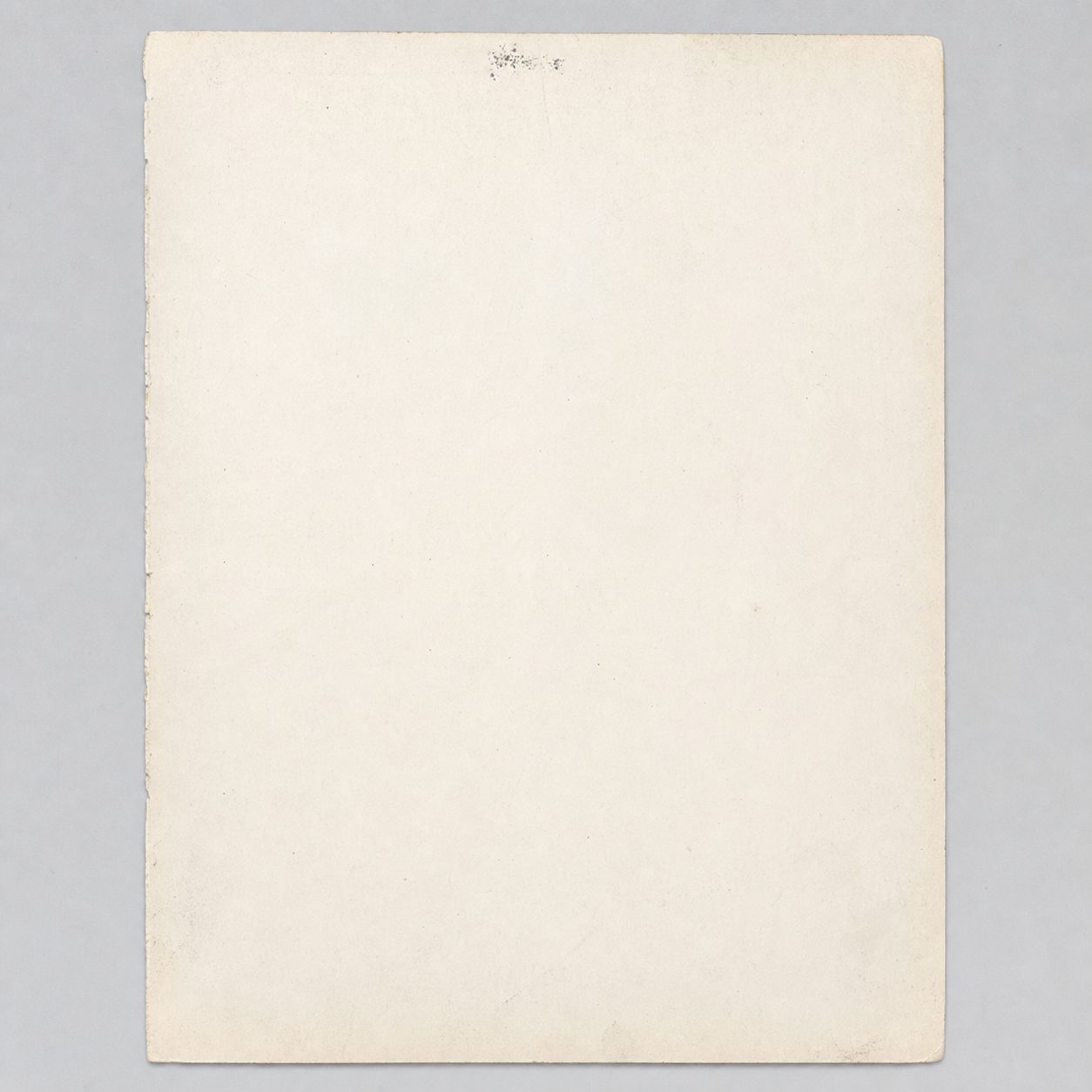 Photographic appendix to fragment TL-4110.