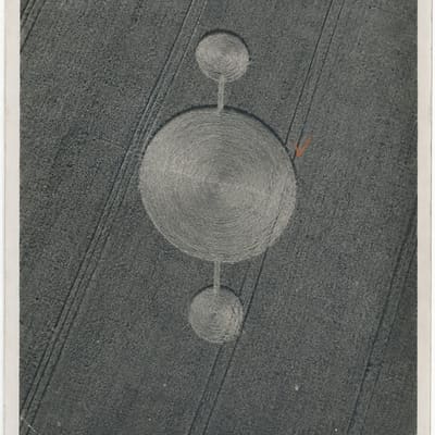 Photographic appendix to fragment TL-2842, subject Crop circles, rubric archive.