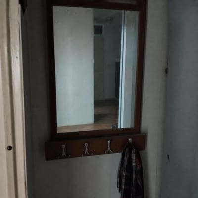 Photographic appendix to fragment TL-1290, subject Checking the mirror, rubric field note.