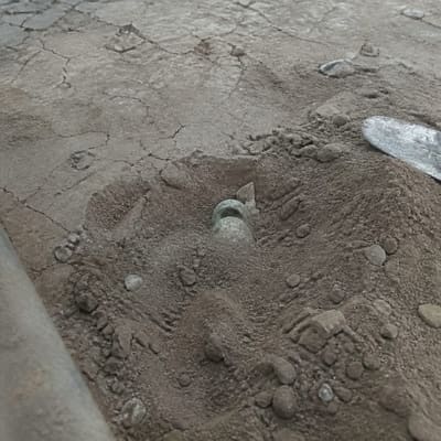 Photographic appendix to fragment TL-2404, subject Out-of-place artifacts, rubric field note.