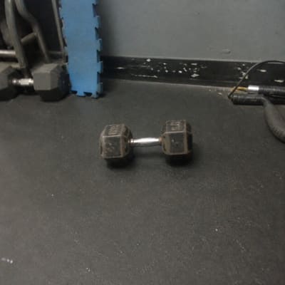 Photographic appendix to fragment TL-0289, subject Gym membership, rubric field note.