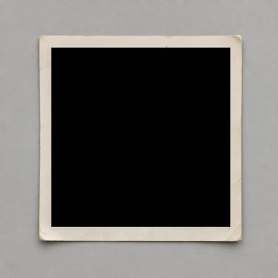 Photographic appendix to fragment TL-0500, subject Cats, rubric restricted.